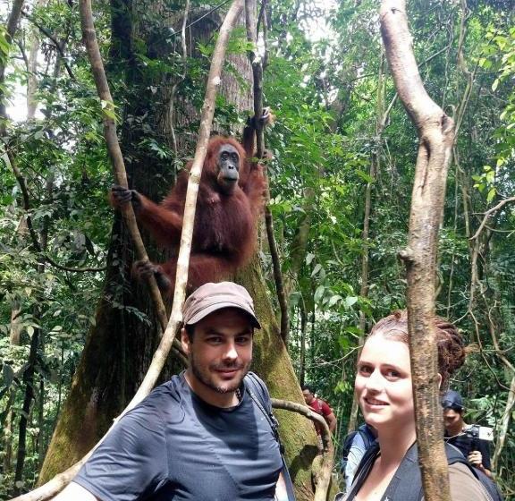 پانسیون Ida Guest House & Jungle Trekking