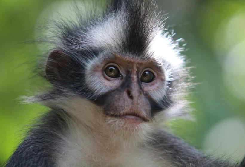 پانسیون Ida Guest House & Jungle Trekking