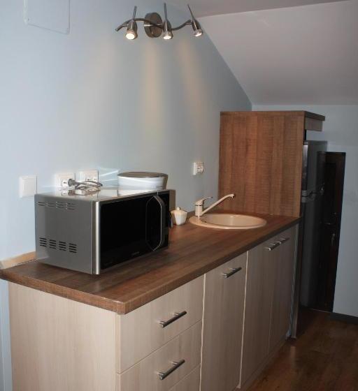 بنسيون Castelul Stirbey