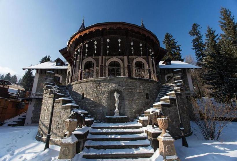 بنسيون Castelul Stirbey