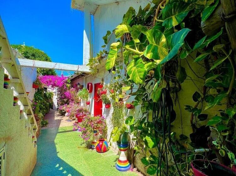 פנסיון Hostal Solsticio Guajiro