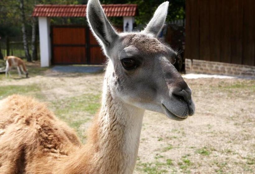 فندق Na Samotě Ve Srubu