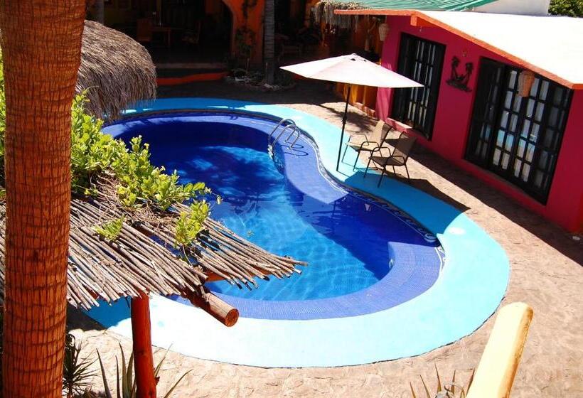 پانسیون Leo's Baja Oasis