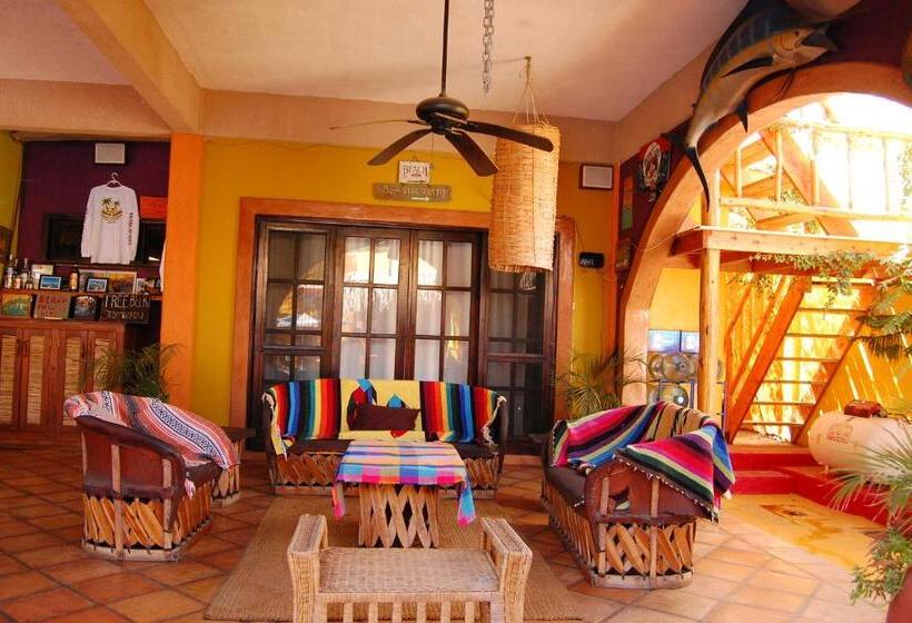 پانسیون Leo's Baja Oasis