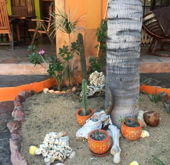 پانسیون Leo's Baja Oasis