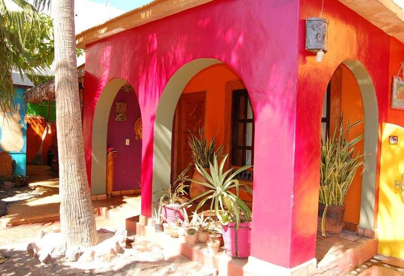 پانسیون Leo's Baja Oasis