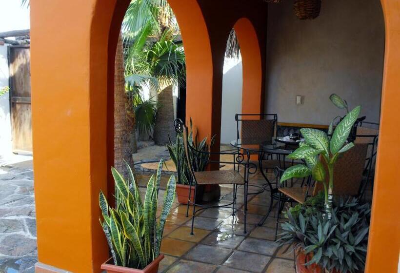 پانسیون Leo's Baja Oasis