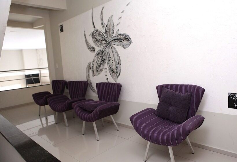 پانسیون Pousada Moda New