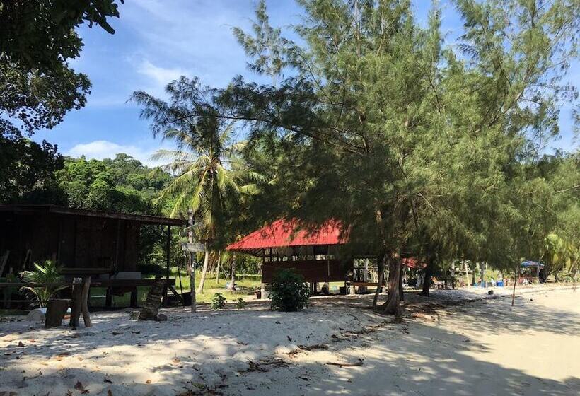 فندق صغير Wild Pasir Panjang