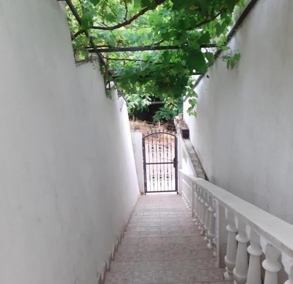 پانسیون Guest House Cvoro