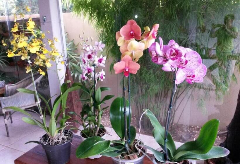 بنسيون Pousada Das Orquídeas