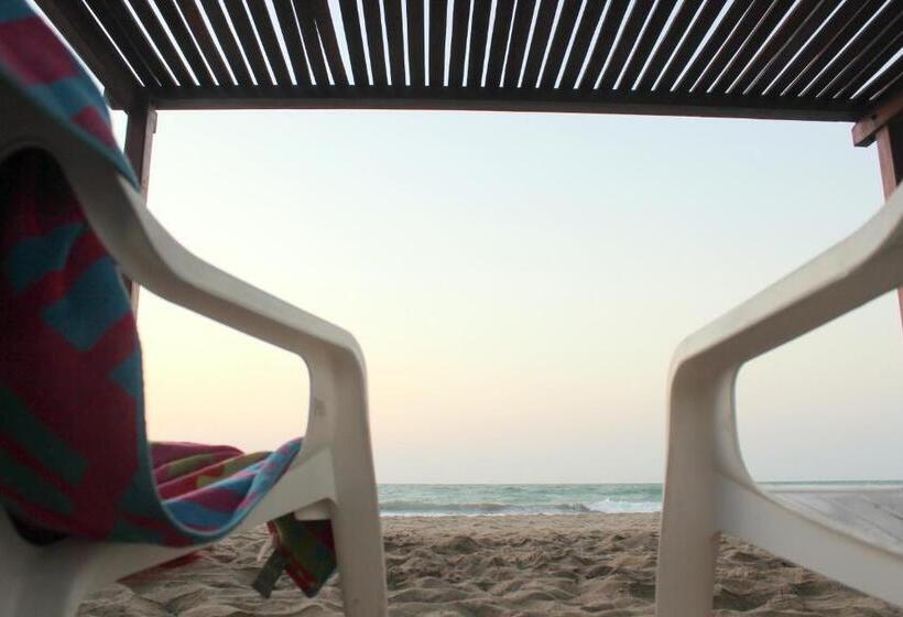 هتل Camino Palmero Coveñas