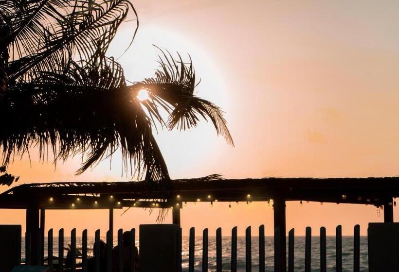 هتل Camino Palmero Coveñas