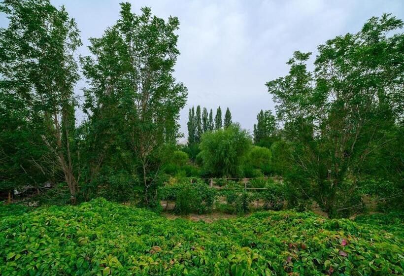 Pensjonat Dunhuang Hu Yang Inn
