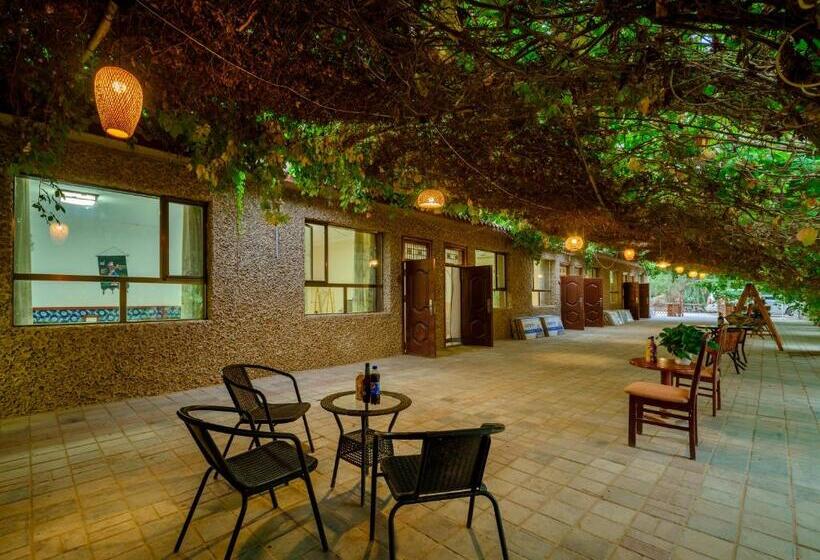 Pensjonat Dunhuang Hu Yang Inn