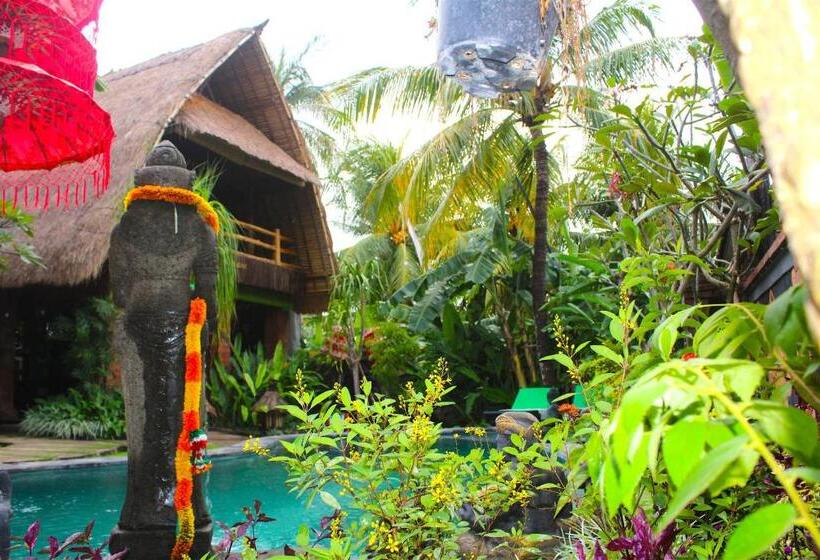 پانسیون Hobbit S House Homestay