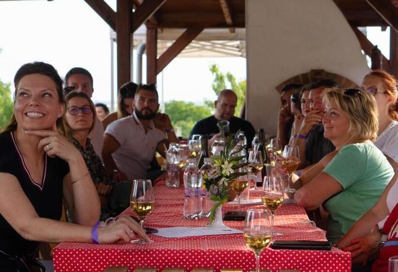 פנסיון Katica Vendégház