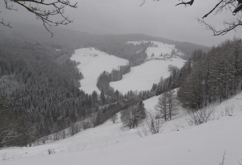 ホテル Leitnerhütte