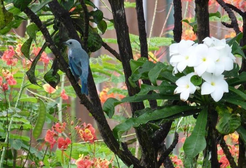 پانسیون Lodge Takini 4