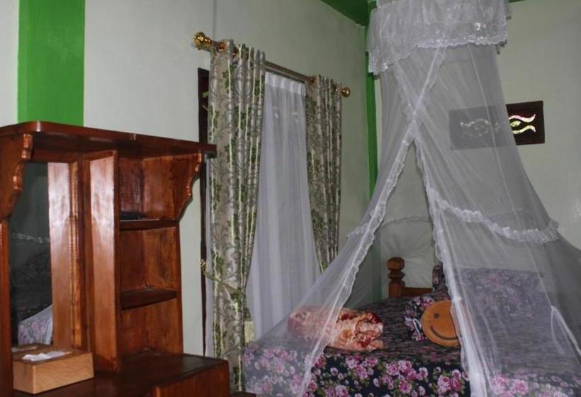 پانسیون Rain Forest Guest House