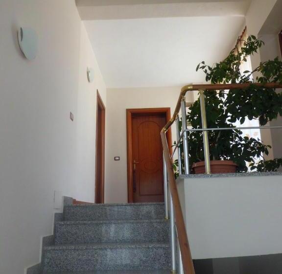 پانسیون Red Rose Guest House