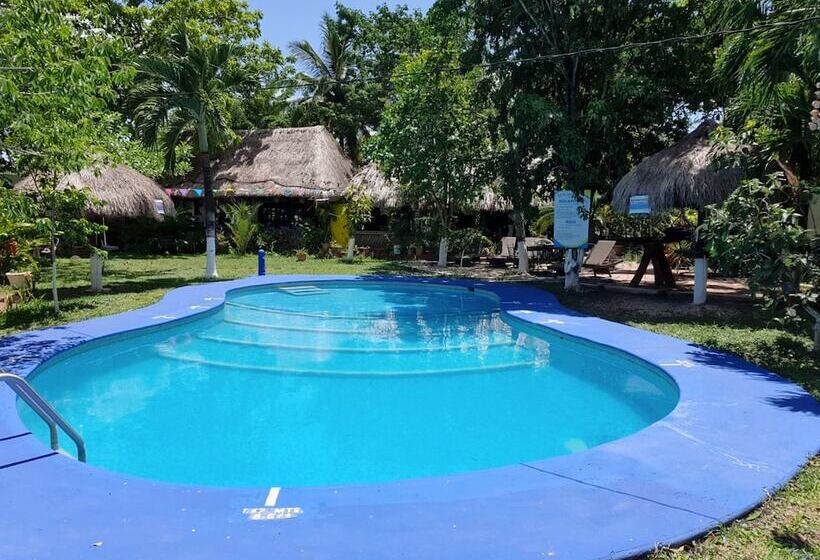 هاستل Villa Colibri Bacalar