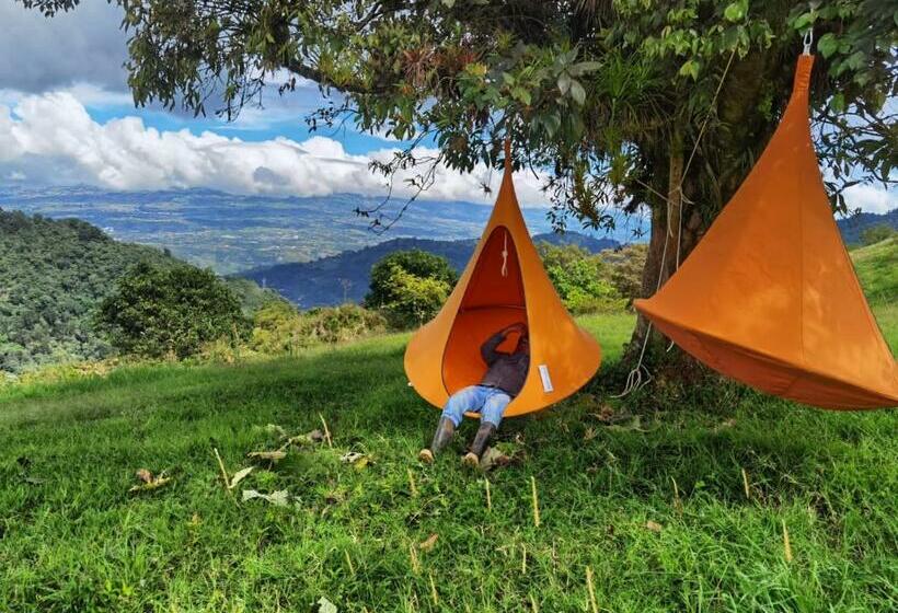 فندق Finca Queveri