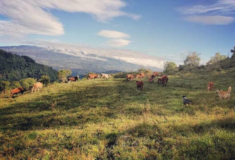 فندق Finca Queveri