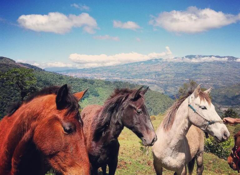 فندق Finca Queveri