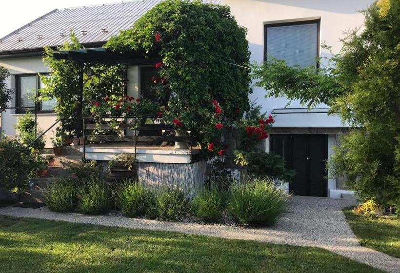 پانسیون Relaxační Studio Vera S Ubytováním