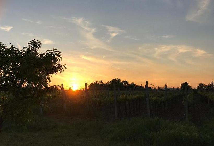 پانسیون Relaxační Studio Vera S Ubytováním