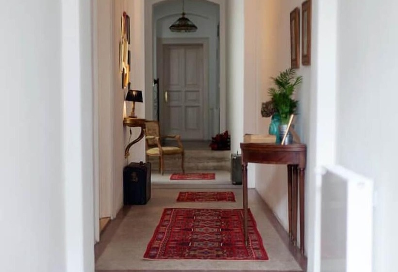 Camino Home