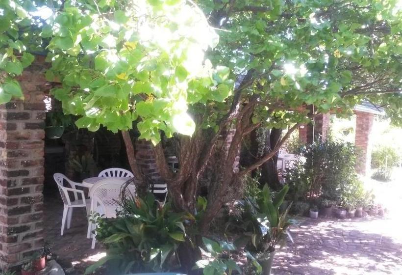 ペンション Onze Rust Guest House And Caravanpark