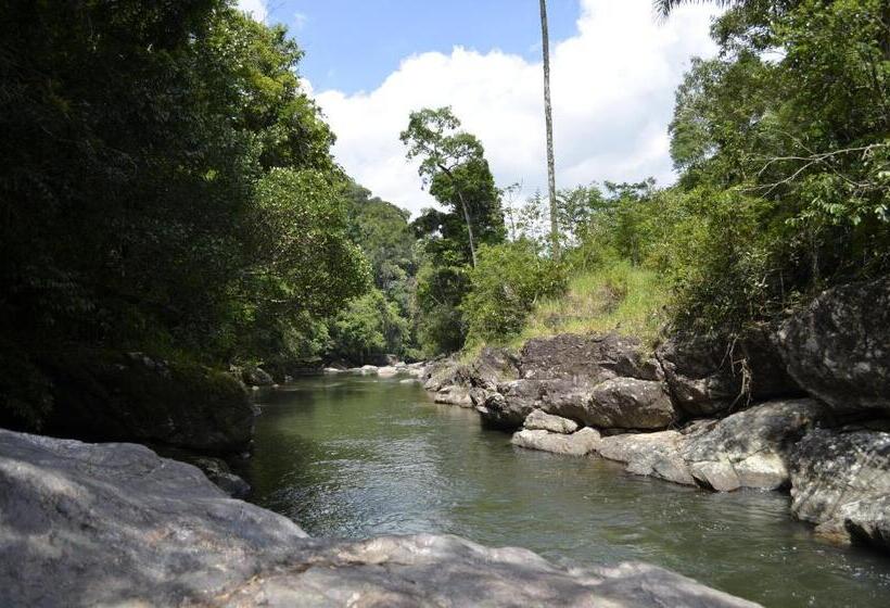 فندق صغير Sitio Flor Das Aguas