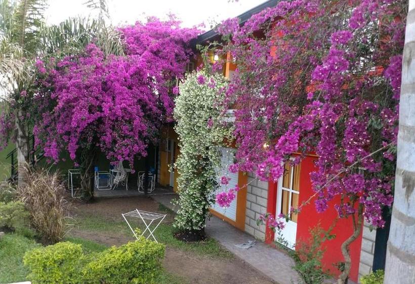 Costas Del Paraiso