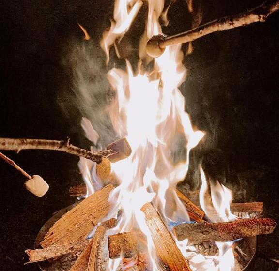 הוסטל Pension Gasthof Arriach