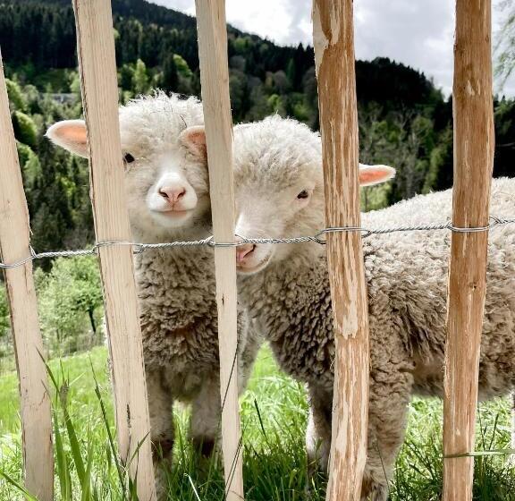 הוסטל Pension Gasthof Arriach