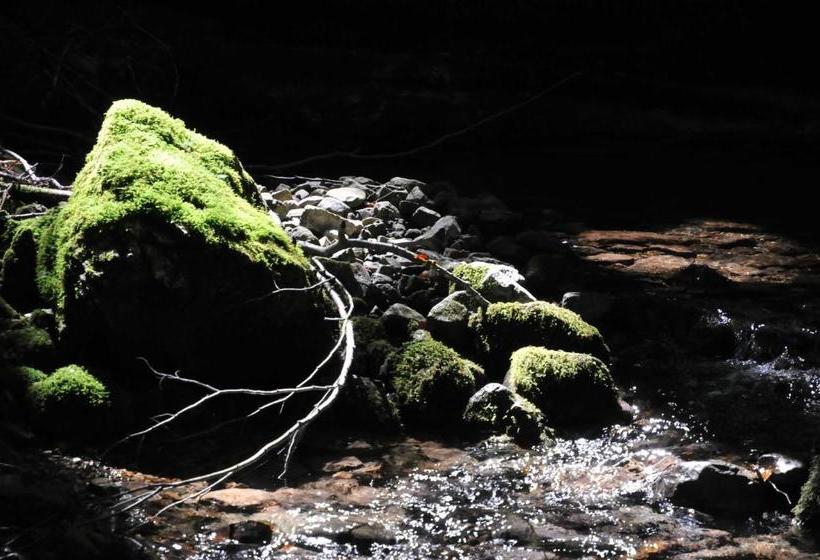 فندق Bauernhof Unterhöfner