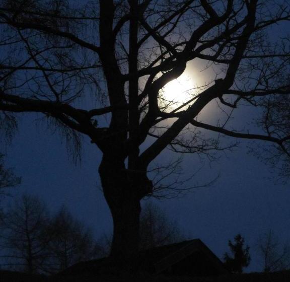 فندق Bauernhof Unterhöfner