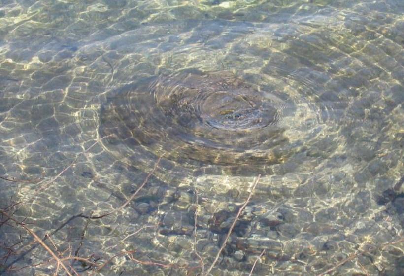 فندق Bauernhof Unterhöfner