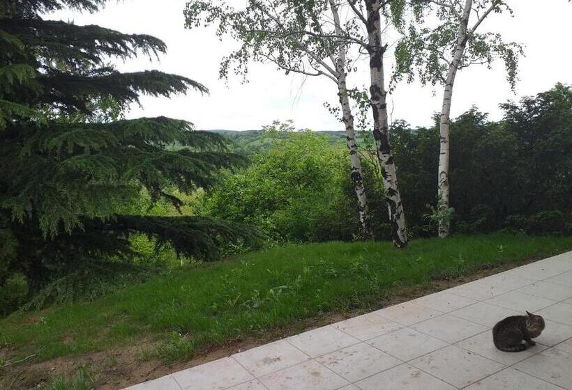 پانسیون Lodging Vidmar