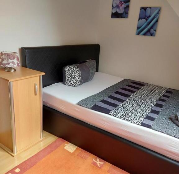 پانسیون Penzion U štoly Jáchymov