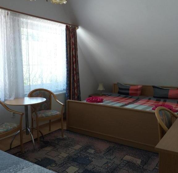 پانسیون Penzion U štoly Jáchymov