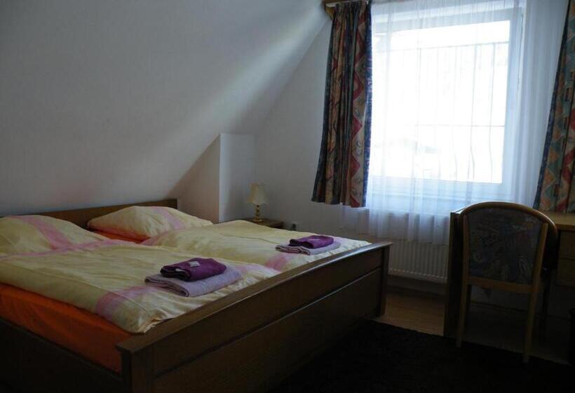 پانسیون Penzion U štoly Jáchymov