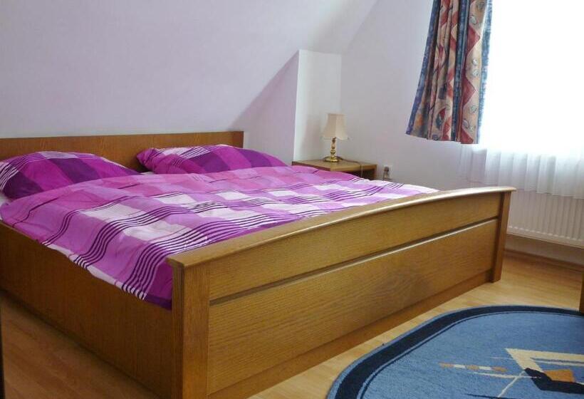 پانسیون Penzion U štoly Jáchymov