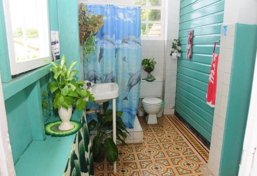 پانسیون Coconut Paradise Lodge