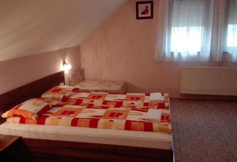 펜션 Csipkeház Apartman