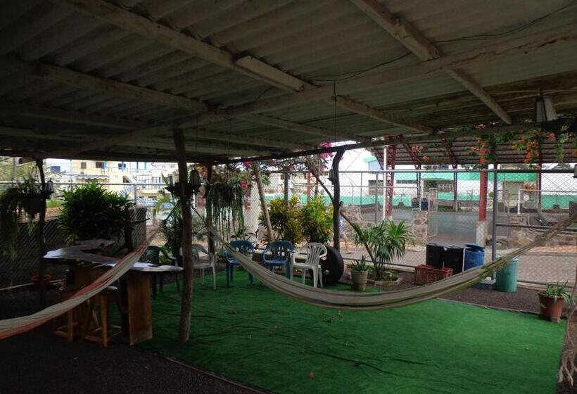 پانسیون Hostal Nathaly