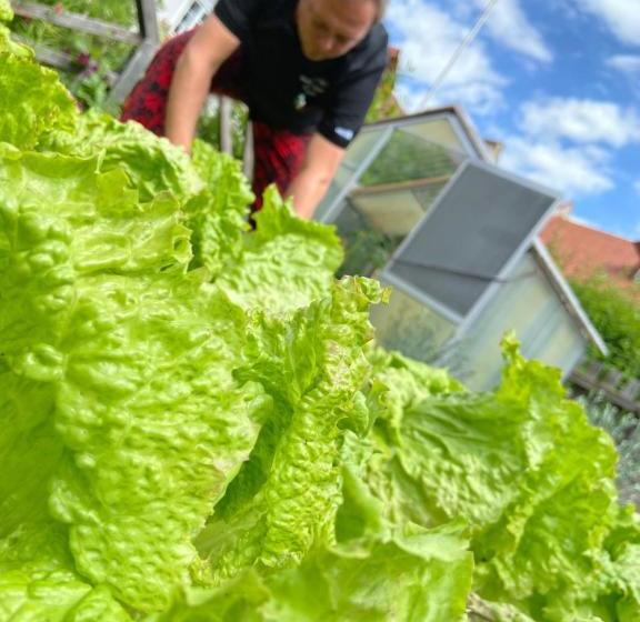 ユースホステル Gasthof Zum Mohrn