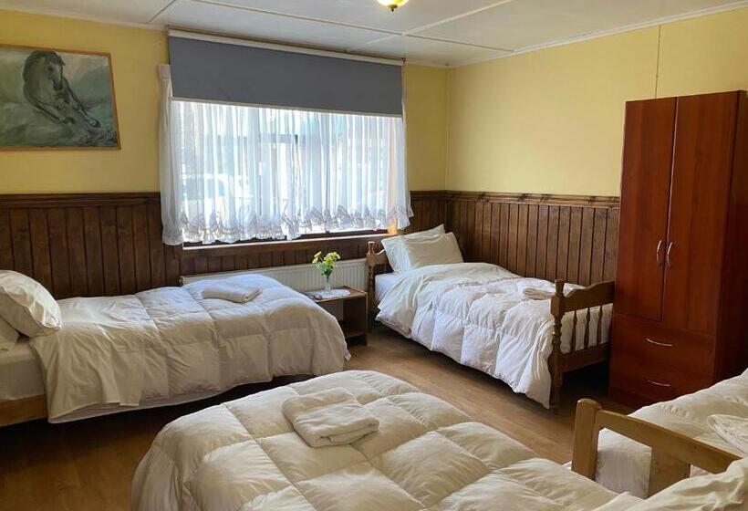 فندق صغير Hostal Hielo Sur
